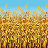 Cornstalks Room Roll